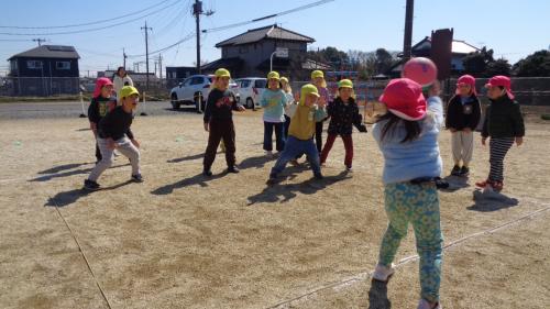 いざ勝負!🏐ぱんだVSぞう