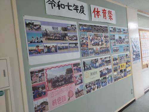 掲示コーナー完成!