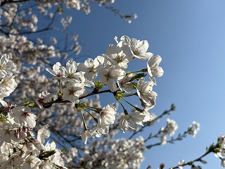 自分らしく 誰かを幸せにする一年へ