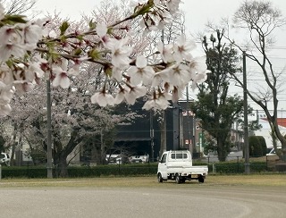 軽トラ走り、雑草抑制 「小絹を語る会」が協力