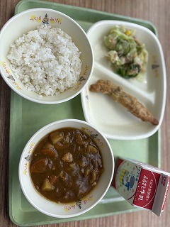 チキンカレー