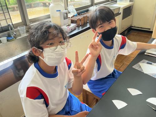 脊椎動物の体のつくり
