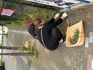 鎌を使って丁寧に