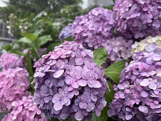 7月2日(木)の登校について