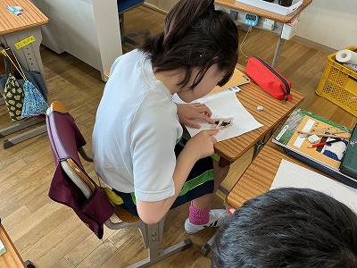 葉脈標本の作製(5学年理科)