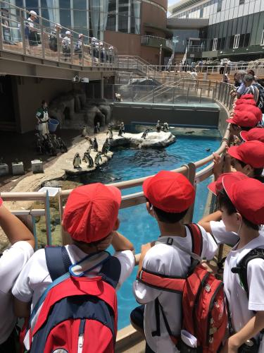 大洗水族館見学中2!
