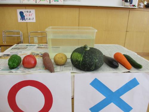 🌽🥔🥕野菜の不思議🍆🍅🥒