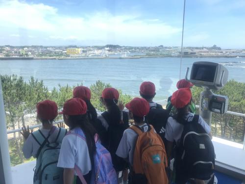 大洗水族館見学中3!と帰りのバス