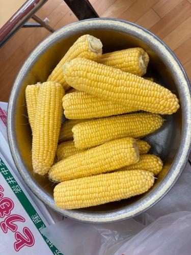 とうもろこしの皮むきをしました!!🌽