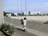 アサガオ・ミニトマトの持ち帰りのご協力、ありがとうございます!