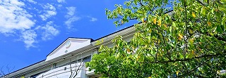 「熱中症警戒アラート」発表への対応について
