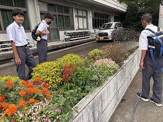 昇降口が開く前の花壇に集う美化委員