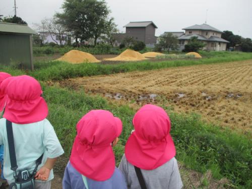 あれはなんだ❗❓