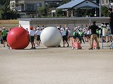 赤も白も熱戦! 2・3・5年生 大玉送り合同練習