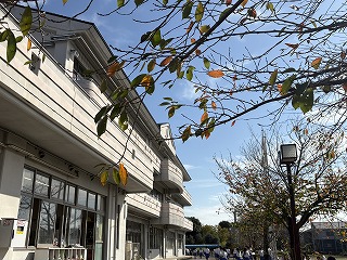 さわやかな青空が広がる