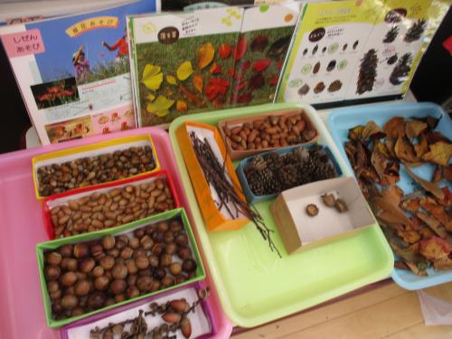 10月19日 🌰秋の自然物で遊んでいるよ🍂(年少組)