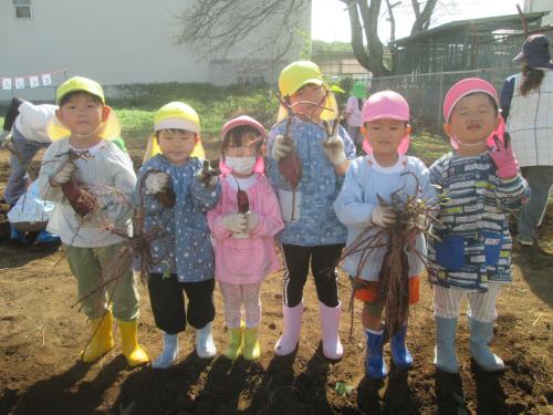 令和9年度つくばみらい市立すみれ幼稚園入園申込み結果のお知らせ