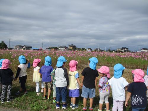 令和9年度つくばみらい市立谷和原幼稚園入園申込み結果のお知らせ